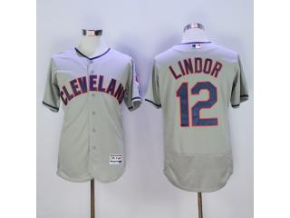 Cleveland indians 12 Francisco Lindor Flexbase Baseball Jersey Gray