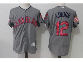 Cleveland indians 12 Francisco Lindor Flexbase Baseball Jersey Gray star