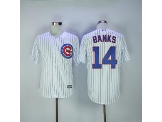 Chicago Cubs 14 Ernie Banks Baseball Jersey White Fan version