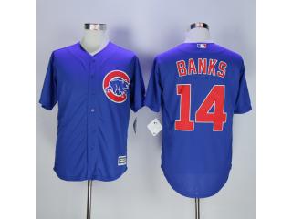 Chicago Cubs 14 Ernie Banks Baseball Jersey Blue Fan version