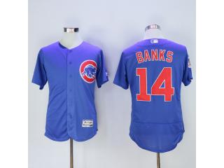 Chicago Cubs 14 Ernie Banks Flexbase Baseball Jersey Blue