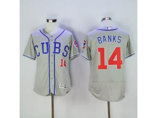 Chicago Cubs 14 Ernie Banks Flexbase Baseball Jersey Gray