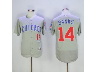Chicago Cubs 14 Ernie Banks Flexbase Baseball Jersey Gray