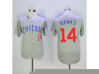 Chicago Cubs 14 Ernie Banks Flexbase Baseball Jersey Gray