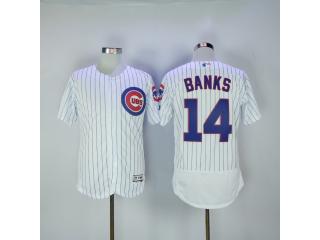 Chicago Cubs 14 Ernie Banks Flexbase Baseball Jersey White