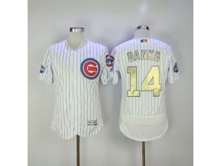 Chicago Cubs 14 Ernie Banks Flexbase Baseball Jersey White Champion Edition