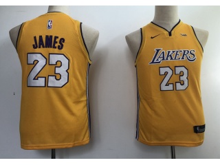 Nike Youth Los Angeles Lakers #23 LeBron James Jersey Yellow