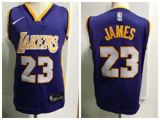 Nike Los Angeles Lakers #23 LeBron James Toddler Jersey Purple