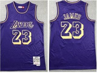 Los Angeles Lakers #23 LeBron James Mouse Year Jersey Purple