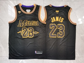 Los Angeles Lakers #23 Lebron James Mamba with Snake Jersey Black