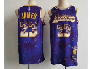 Los Angeles Lakers #23 LeBron James Nike Select Series MVP Swingman Jersey  Purple