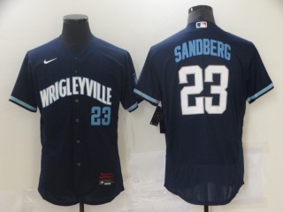 Nike Chicago Cubs #23 Ryne Sandberg 2021 City Flexbase Jersey Blue