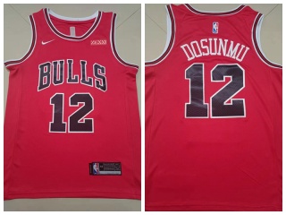 Nike Chicago Bulls #12 Ayo Dosunmu Jersey Red