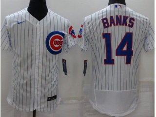 Nike Chicago Cubs #14 Ernie Banks Flexbase Jersey White