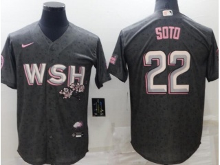 Nike Washington Nationals #22 Juan Soto City Cool Base Jersey Grey