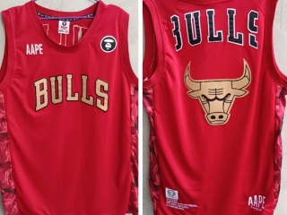 Chicago Bulls Red Aape Jersey