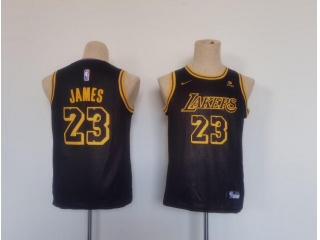 Youth Los Angeles Lakers #23 Lebron James Jersey Black City
