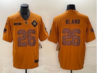 Dallas Cowboys #26 DaRon Bland 2023 Salute to Service Limited Jersey Brown