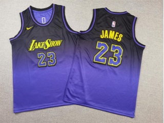 Youth Los Angeles Lakers #23 Lebron James 2024-25 City Edition Jersey Purple