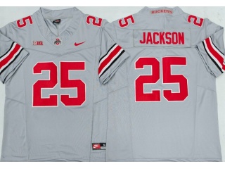 Ohio State Buckeyes #25 Jaylen Johnson F.U.S.E Limited Jersey Gray